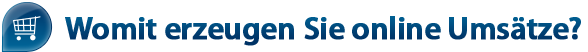 Womit erzeugen Sie online Umsätze? Womit erzeugen Sie online Umsätze?